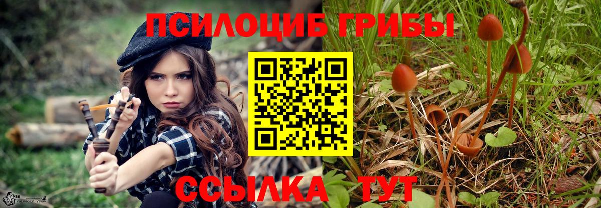 Самара  Галлюциногенные грибы мицелий  Вход с VPN  Псилоцибиновые грибы Magic Shrooms 